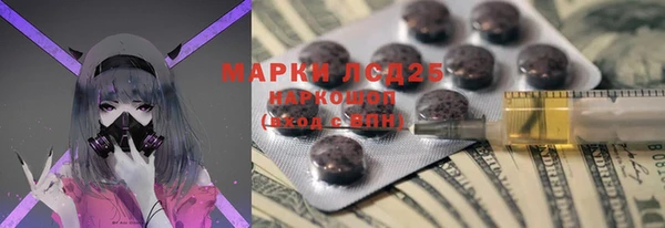 ГАЛЛЮЦИНОГЕННЫЕ ГРИБЫ Вязники