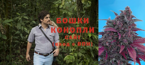 ГАЛЛЮЦИНОГЕННЫЕ ГРИБЫ Вязники