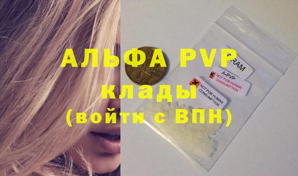 ГАЛЛЮЦИНОГЕННЫЕ ГРИБЫ Вязники