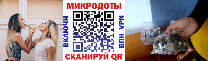 Псилоцибиновые грибы Magic Shrooms Купить где Канск