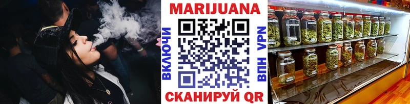 Конопля сатива Канск